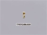 藏品(黃波緣苔蛾)的圖片